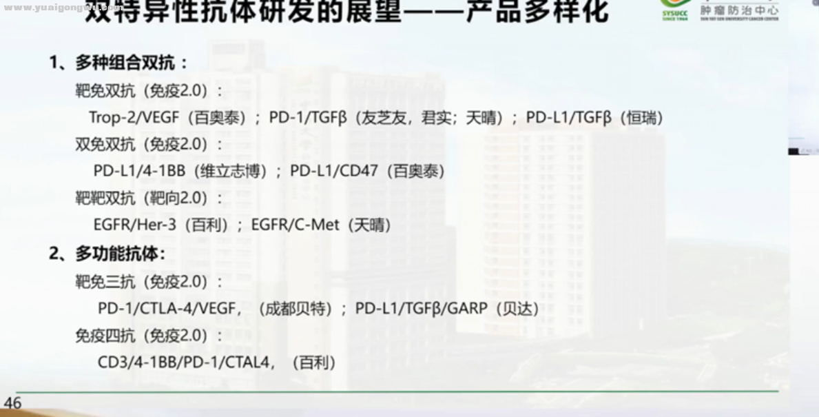 双抗5.png